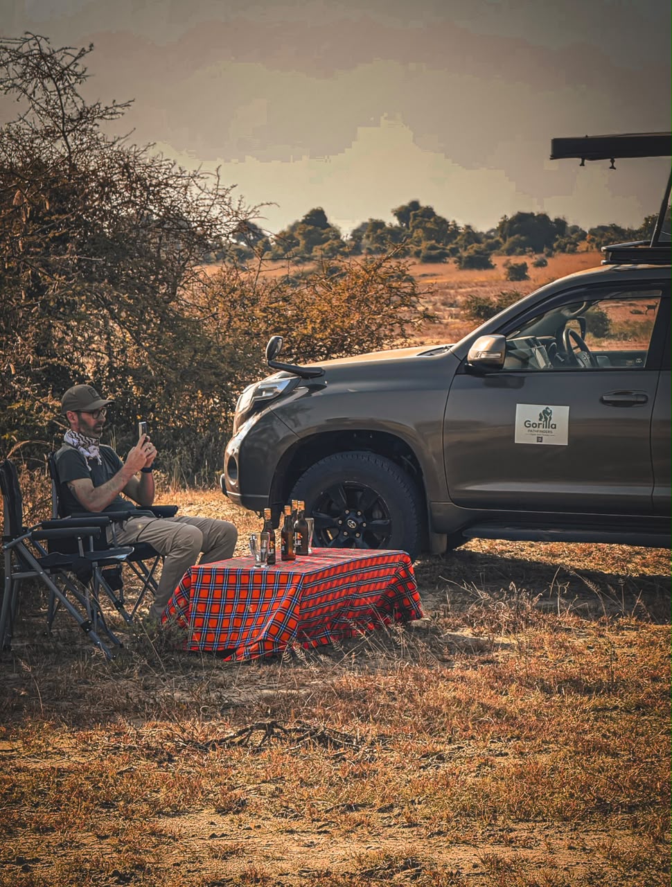 Traveller enjoying a sundowner picnic beside a Gorilla Pathfinders safari vehicle in the savannah