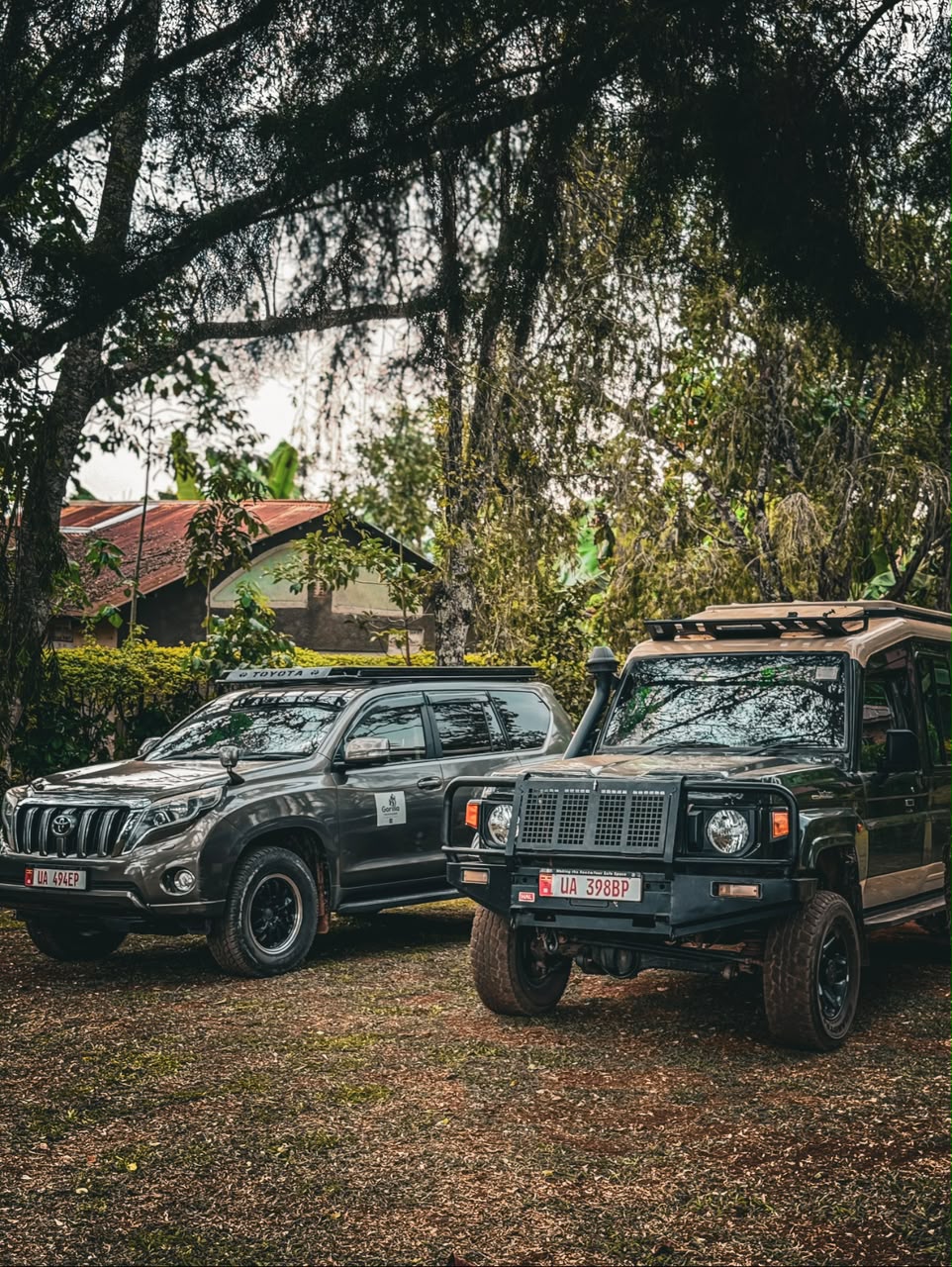 Two Gorilla Pathfinders safari vehicles parked side by side beneath large trees