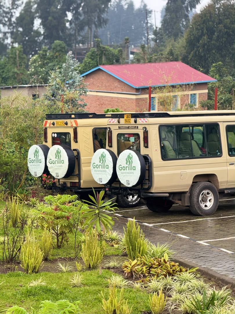 Two beige Gorilla Pathfinders Land Cruisers parked in the lush garden of a safari lodge