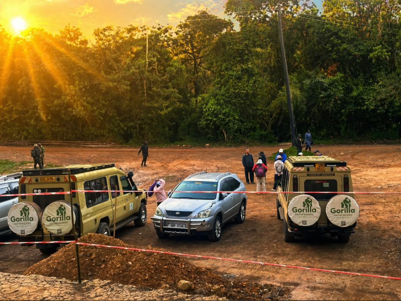 Safari vehicles and trekking groups gathered at a forest clearing in the early morning