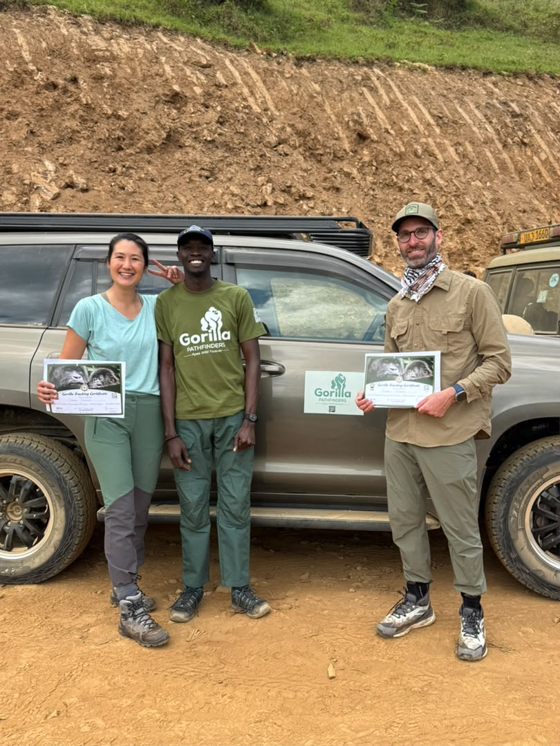 Two travellers holding gorilla tracking certificates with their guide beside a safari vehicle