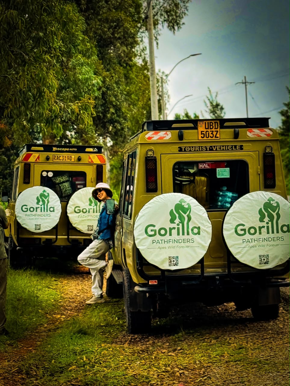 Two beige Gorilla Pathfinders tourist vehicles parked on a tree-lined track