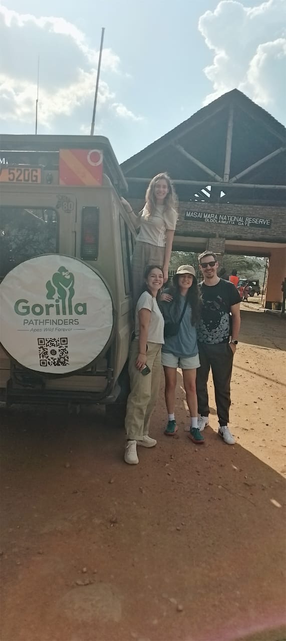 Gorilla safari gallery image