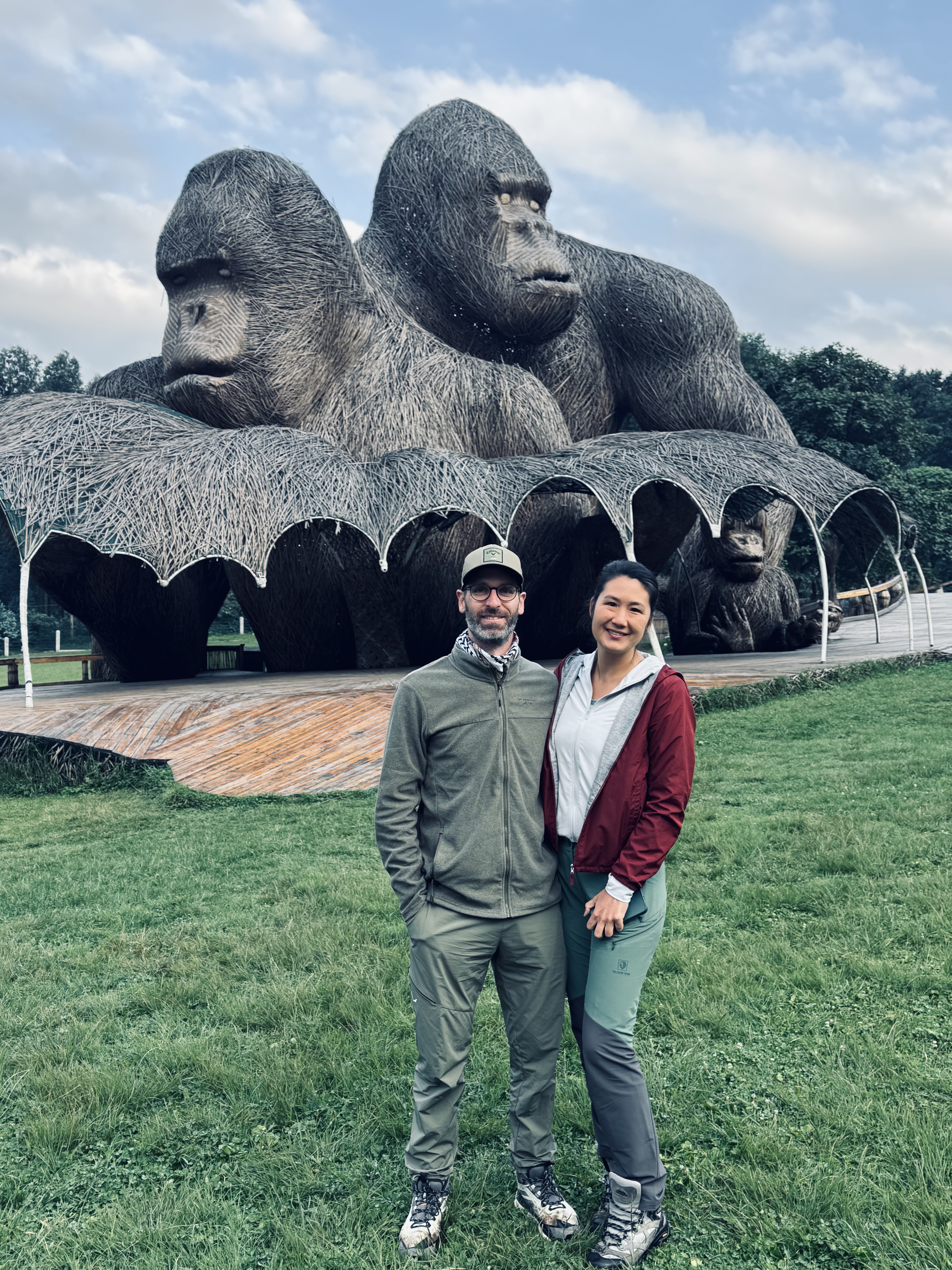 Gorilla safari gallery image