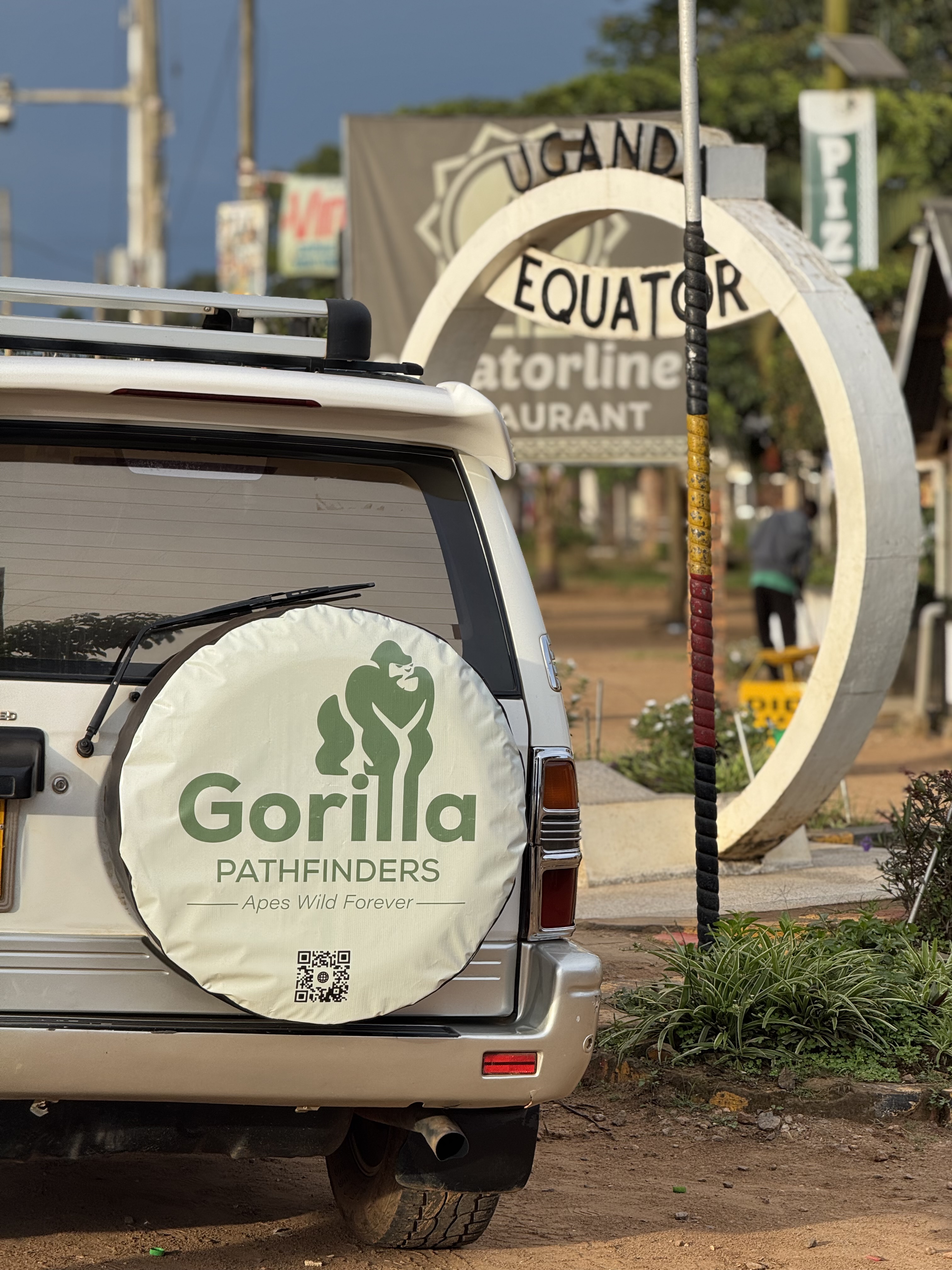 Gorilla safari gallery image