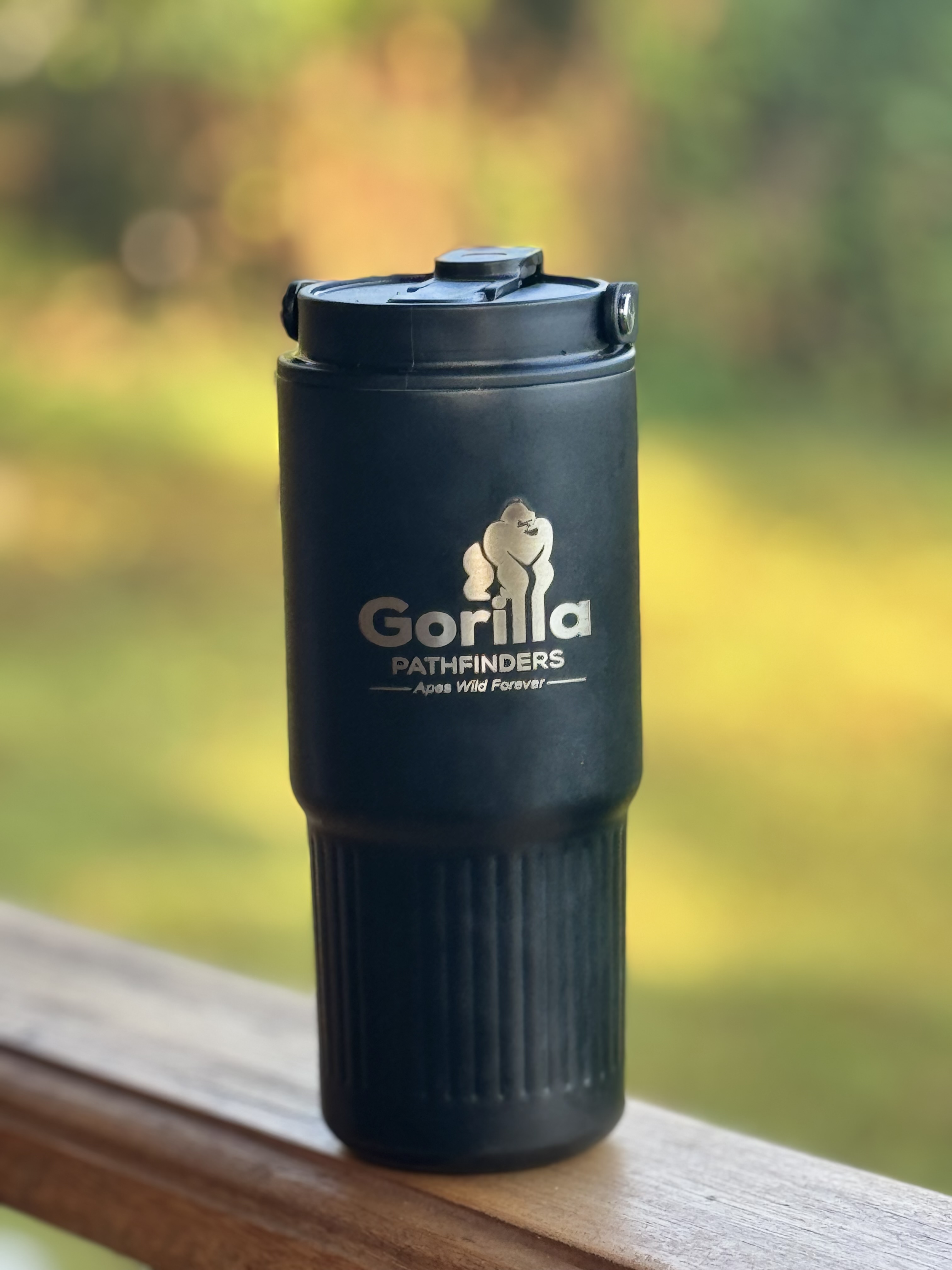 Gorilla safari gallery image