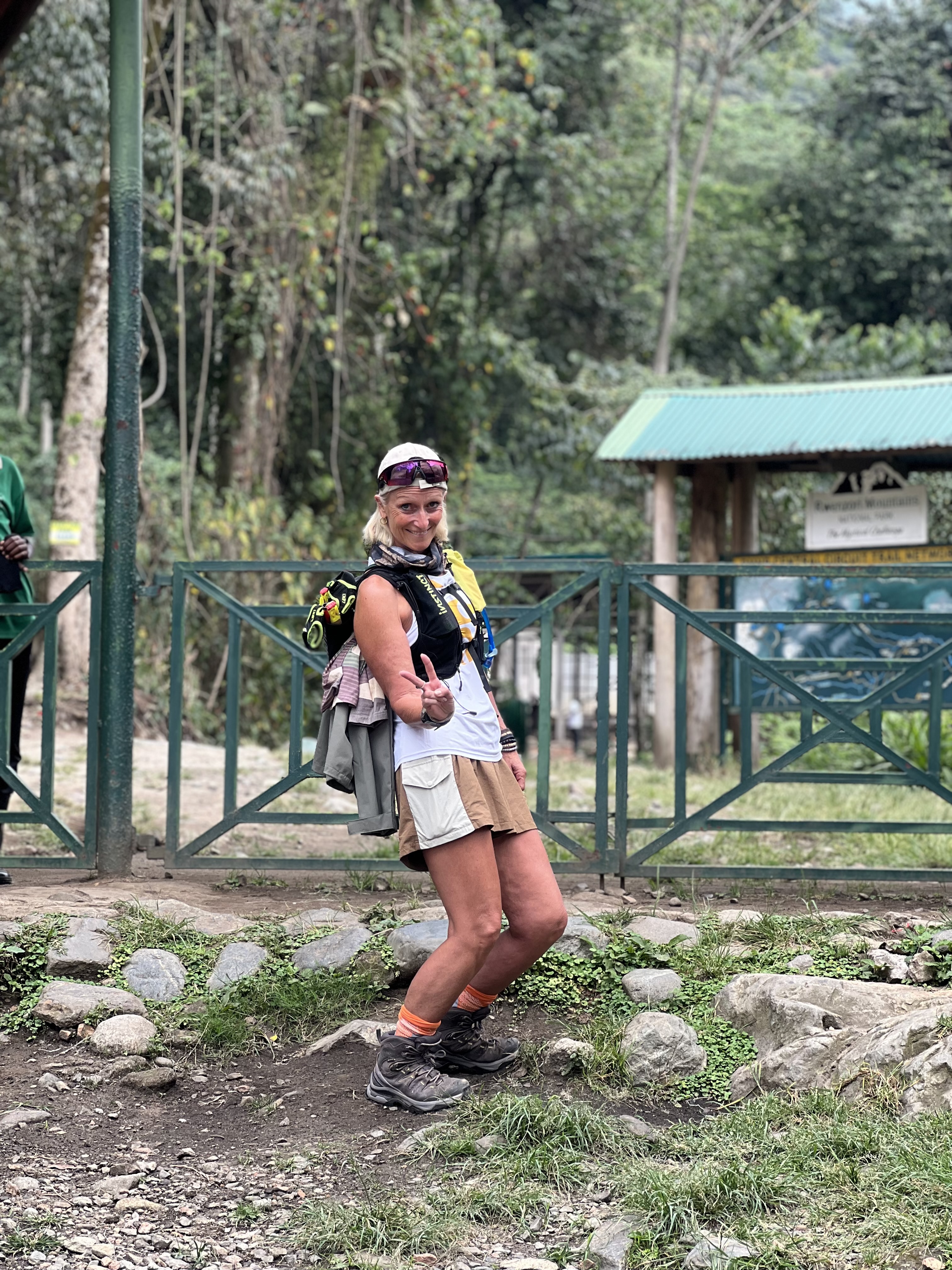 Gorilla safari gallery image