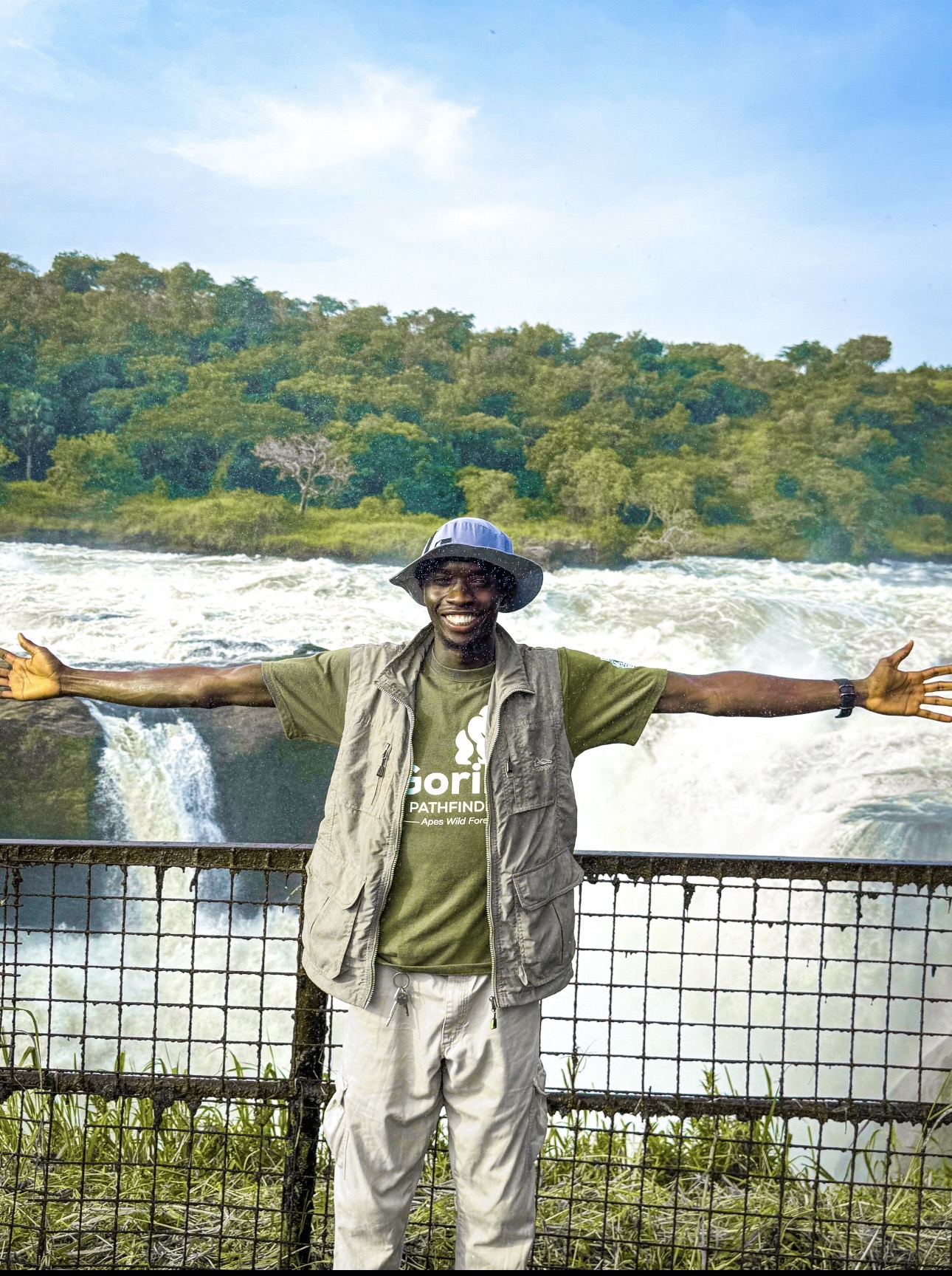 Gorilla safari gallery image