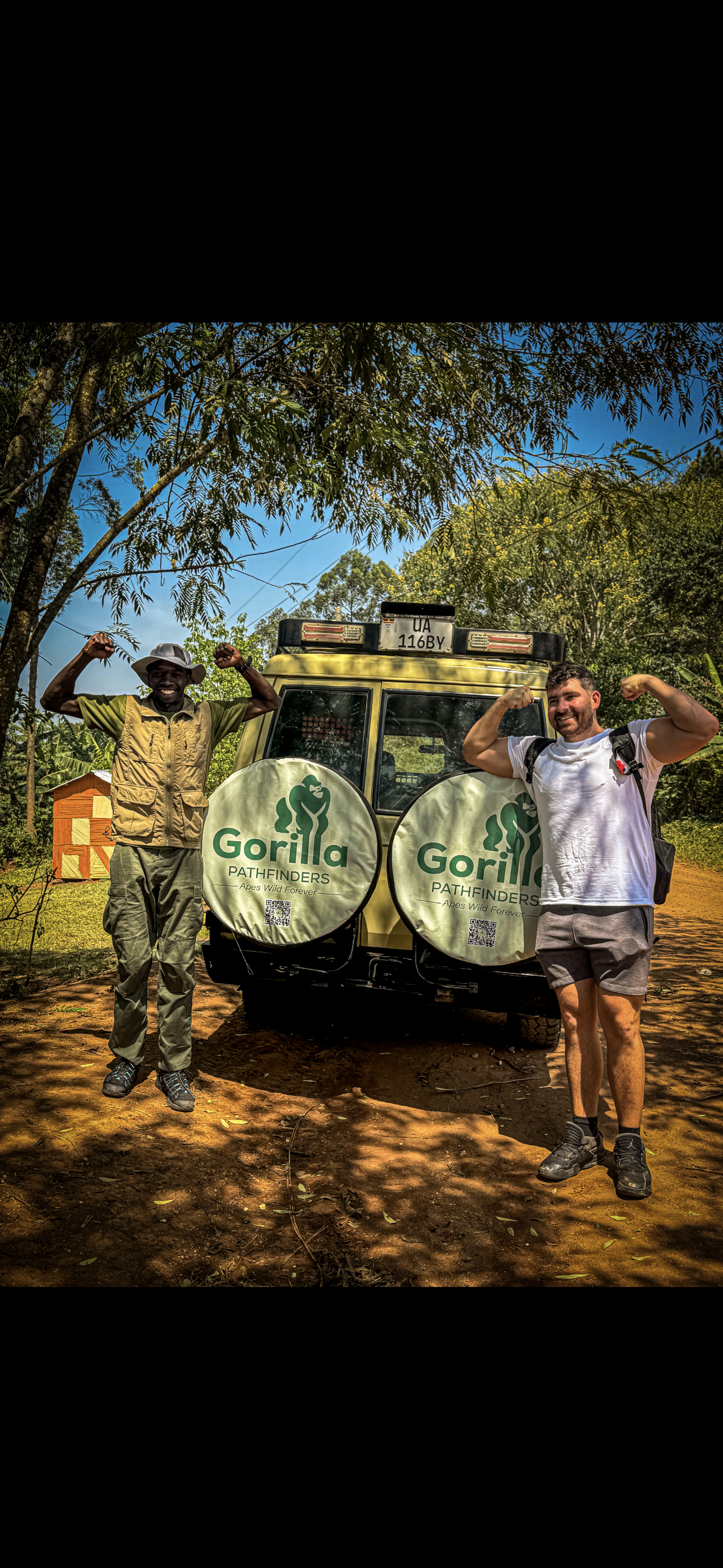 Gorilla safari gallery image