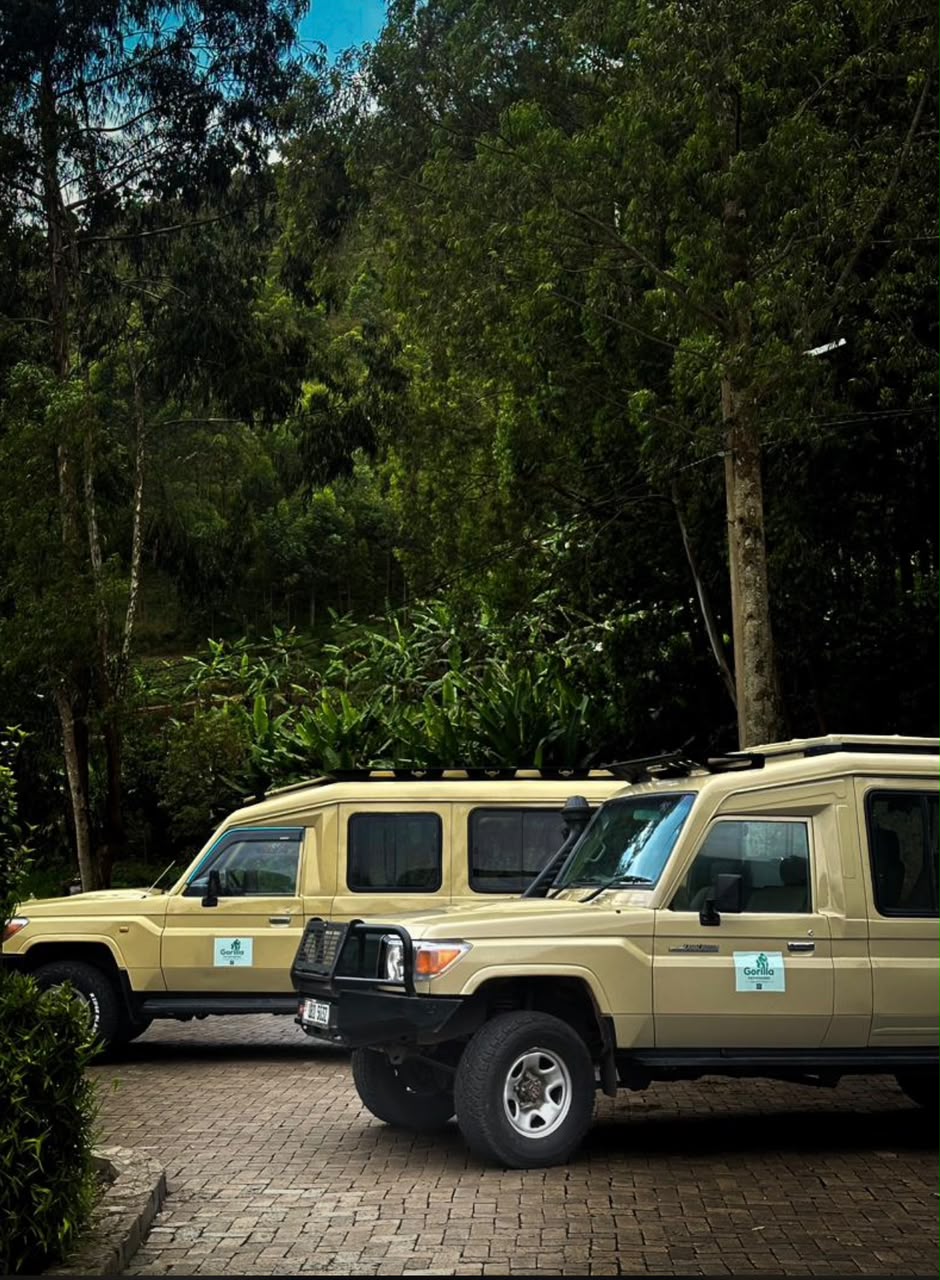 Two beige Gorilla Pathfinders four-wheel-drive safari vehicles parked among lush trees