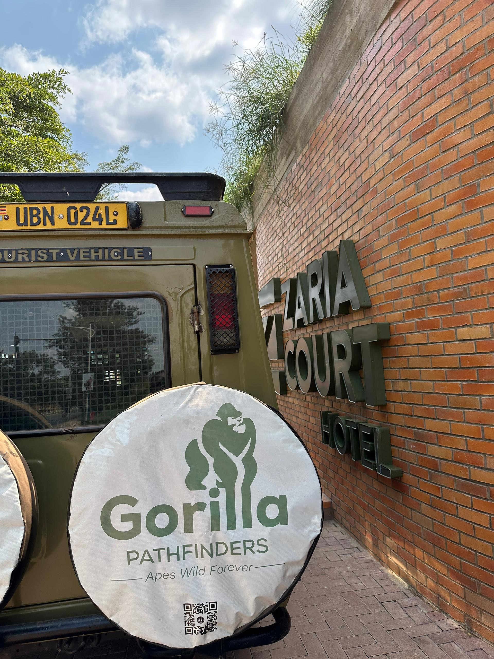 Best gorilla trekking tours in Uganda from Kigali Rwanda